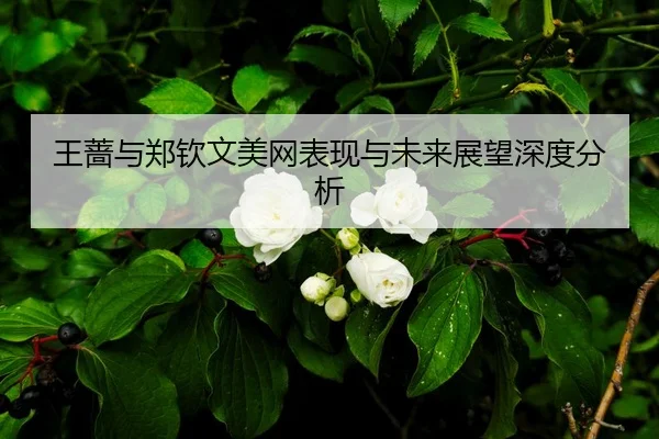 王蔷与郑钦文美网表现与未来展望深度分析
