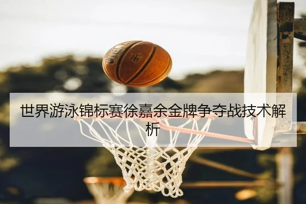 shi-jie-you-yong-jin-biao-sai-xu-jia-yu-jin-pai-zheng-duo-zhan-ji-shu-jie-xi-2-422.jpg